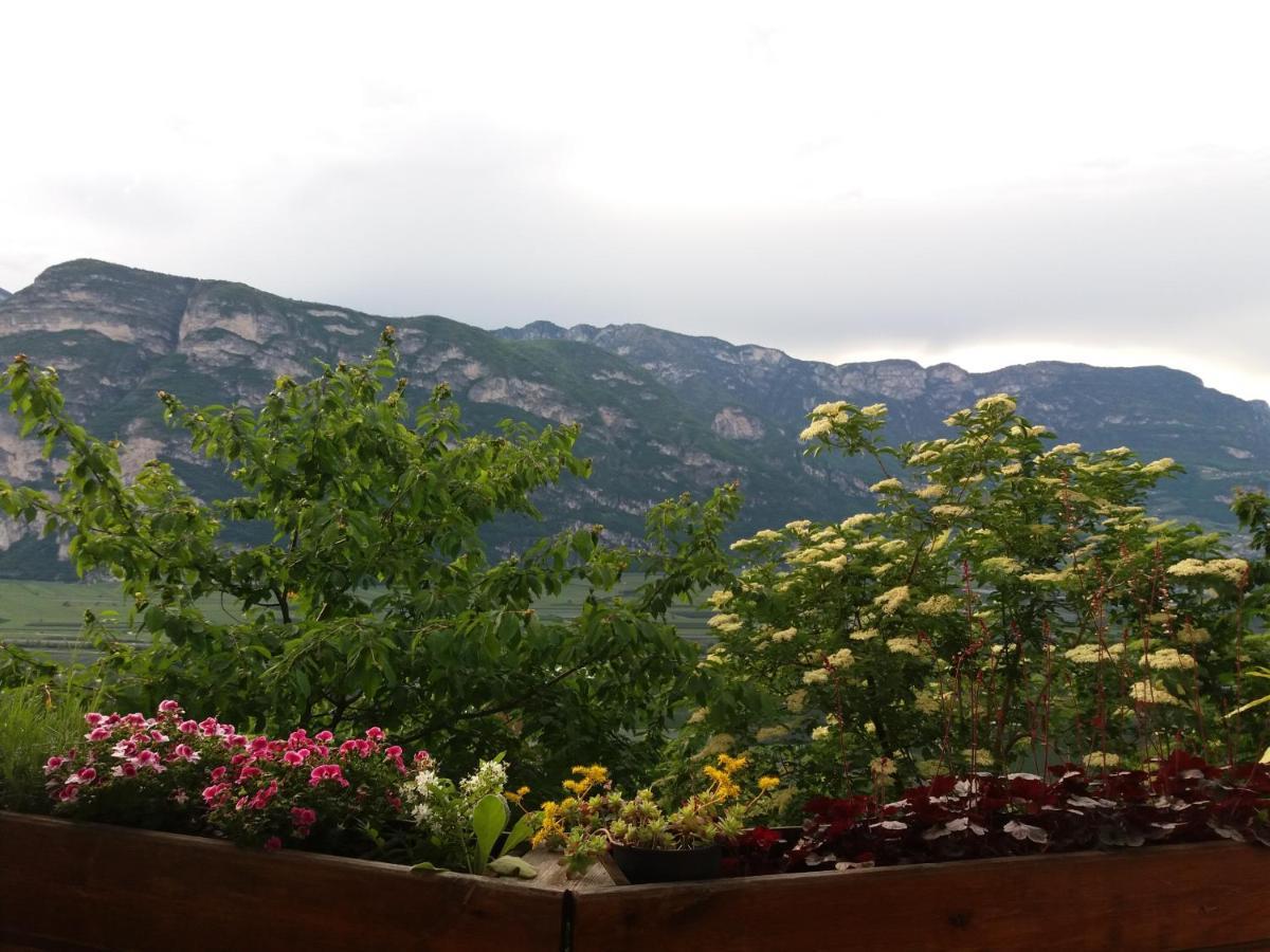 B&B Klammhof Panorama Salorno Exterior photo